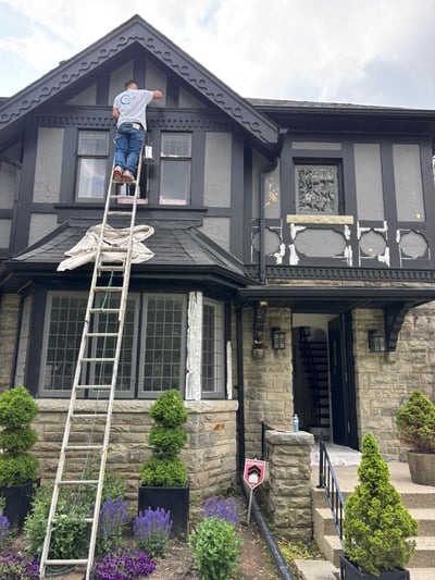 02d5a595-04fa-40a7-a542-3954e923904d